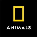 Nat Geo Animals