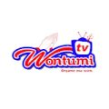 Wontumi TV