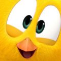 Where's Chicky? - Cartoon in English