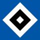 HSV Tv