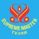 Supreme Master TV