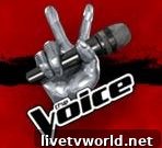 Tuesday TV Ratings: The Voice Falls as ACAs Hold Steady