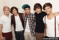 One Direction’s 10th Anniversary: New Official Website Launch