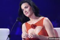Is the Media Bullying Katy Perry Over American Idol?