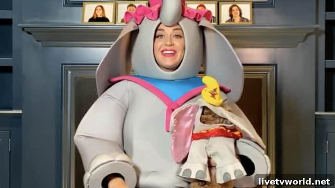 AMERICAN IDOL - Katy Perry