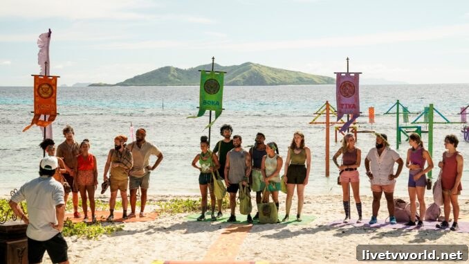 Survivor
