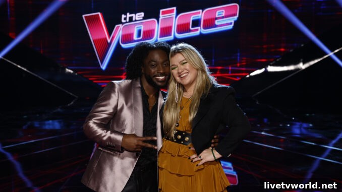 The Voice 23