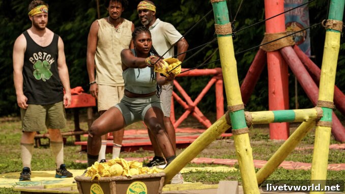 Survivor 45