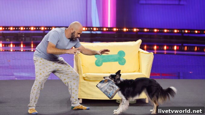 America's Got Talent: Fantasy League Adrian Stoica & Hurricane