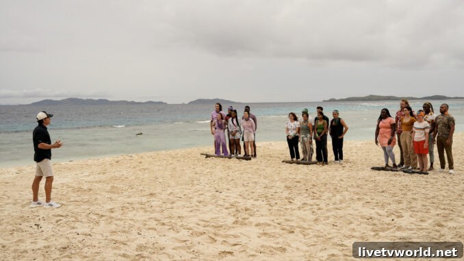 Survivor 46