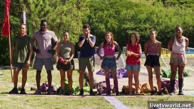 Survivor 45