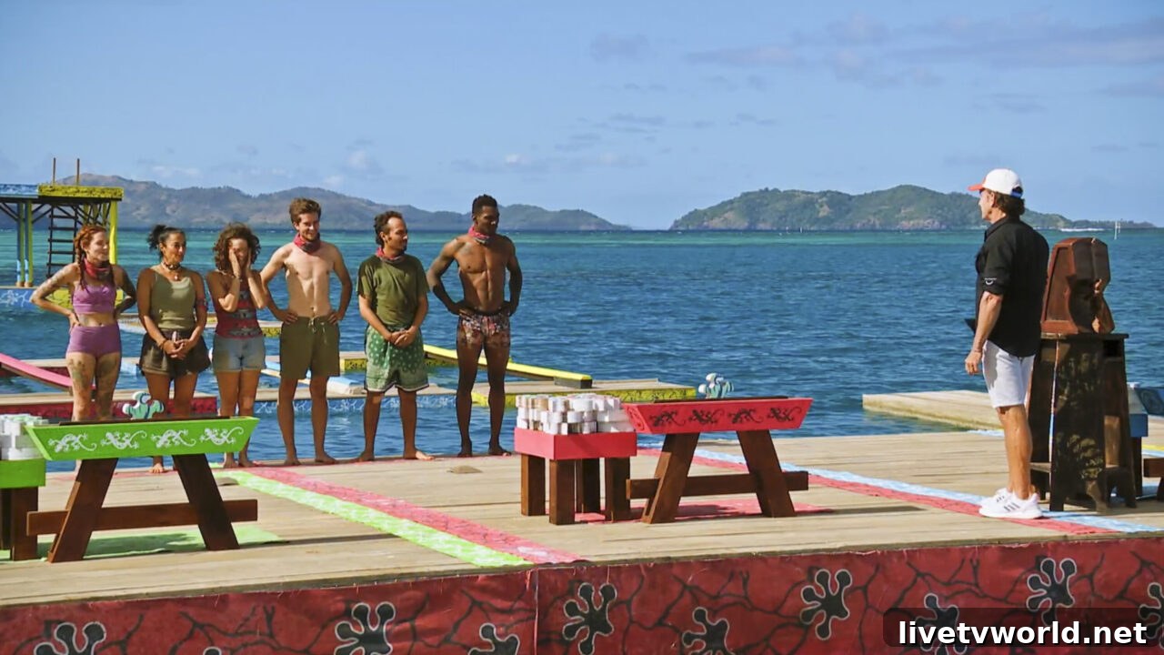 Survivor 46