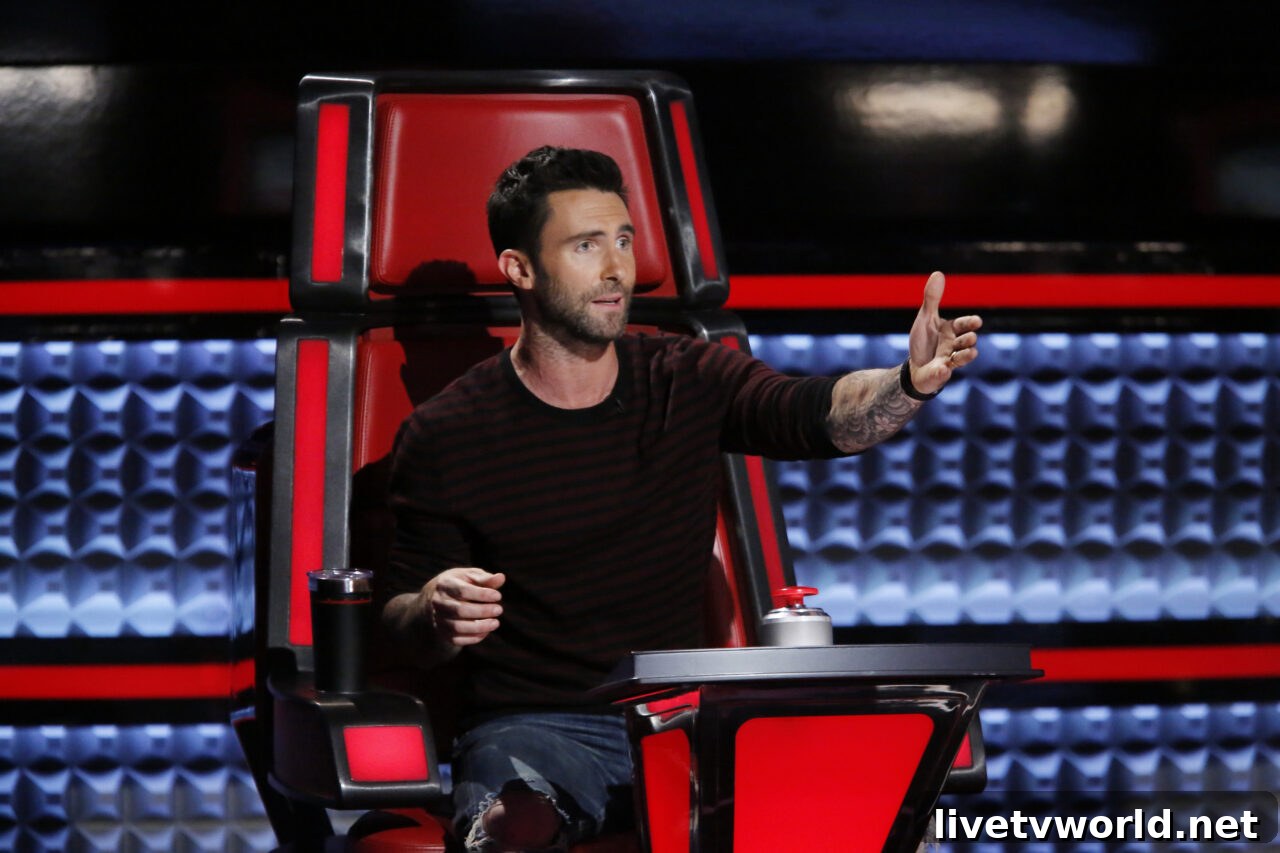 Adam Levine - The Voice