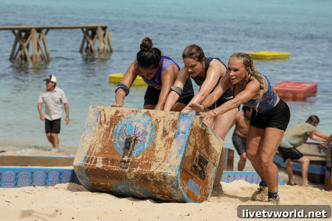 Survivor 47